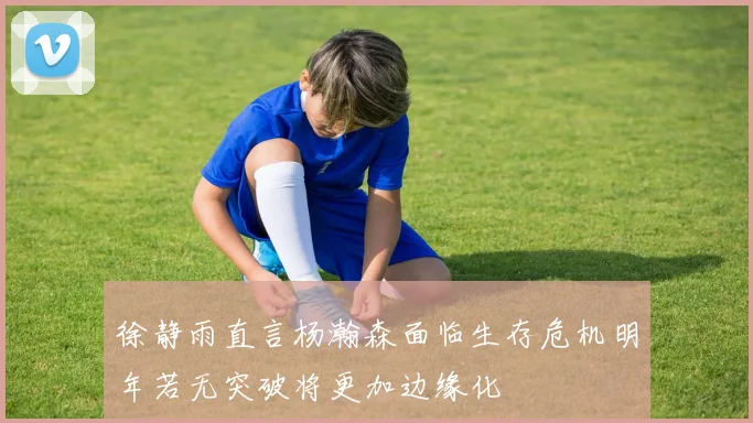 徐静雨直言杨瀚森面临生存危机明年若无突破将更加边缘化